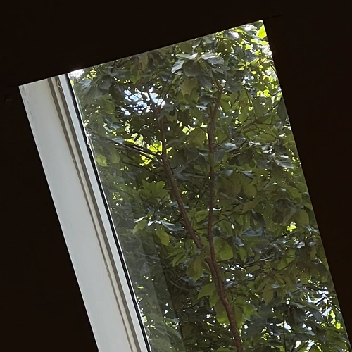 Clean storm window with leaves in foreground